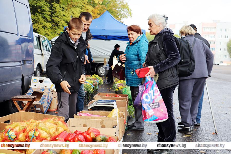 Рассказываем, когда в Чаусах пройдёт следующая сельскохозяйственная ярмарка